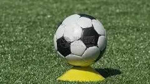 体育资讯：2025年11月21日聚焦赛事动态