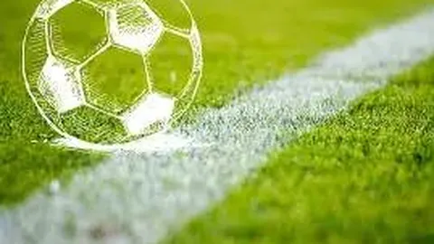 开云体育官网 产品 095534 wxx